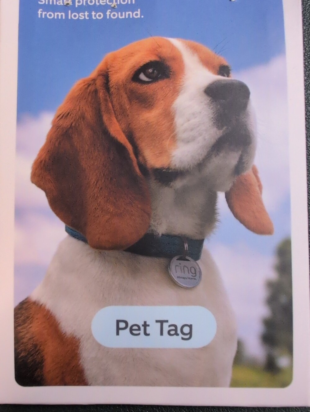 Silver Pet Tag Ring Style ID Tag for Dog or Cat Collar